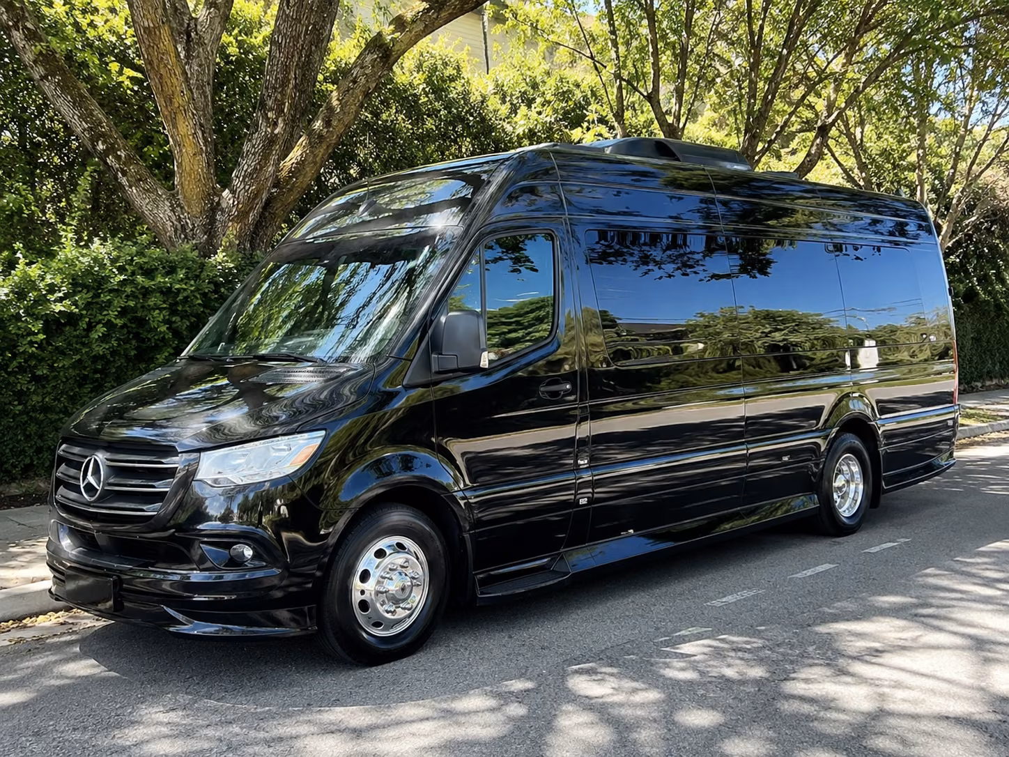 montgomery family reunion and vacation bus rentals